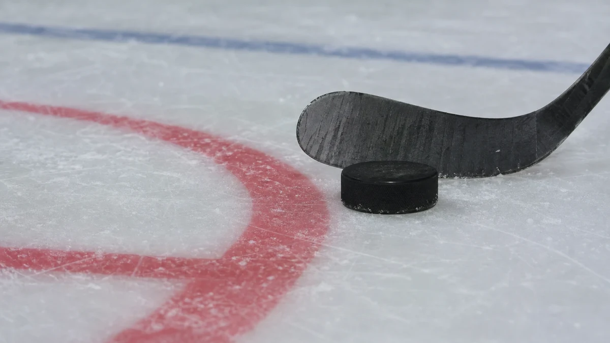 Puck över mållinjen med en linjedomare vid sargen